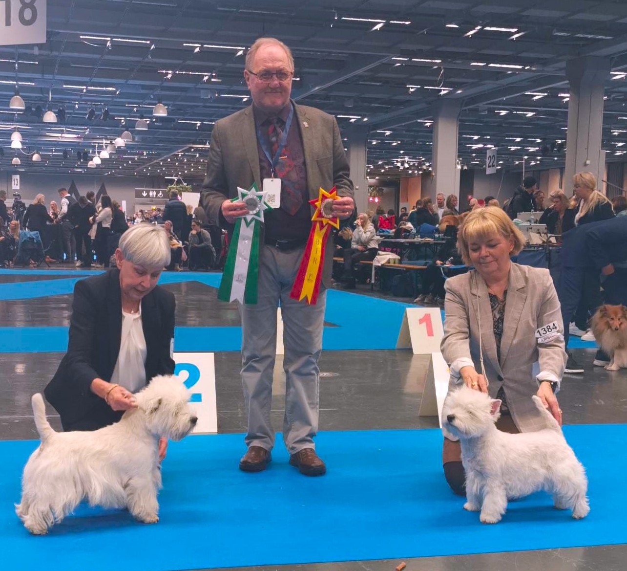 BIM och BIR dag 1 my dog