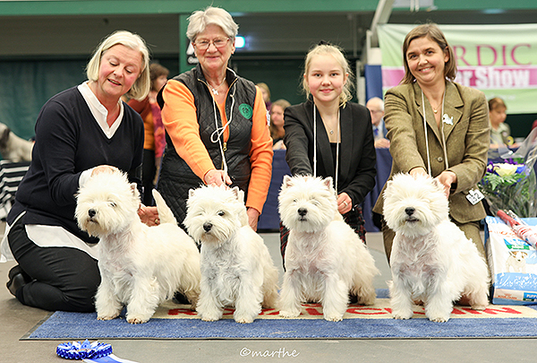 2019 11 09 stTek S dert lje BIS 2 Uppf dargrupp Jazzing grupp 9262