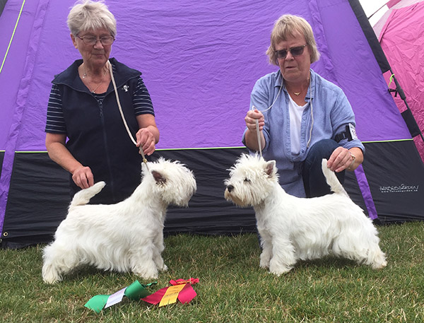 BIR BIM i Norrkoping 2019 08 18