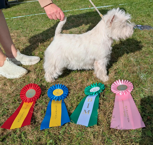 BIR Högbo Jazzing Take On Me