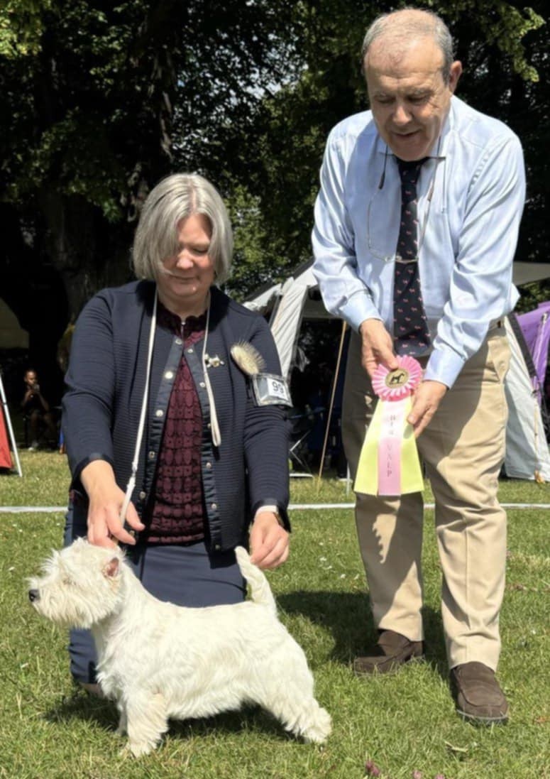 basta valp ulriksdal 2025