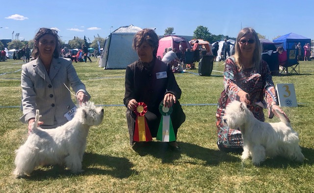 Norrköping bir och bim 02