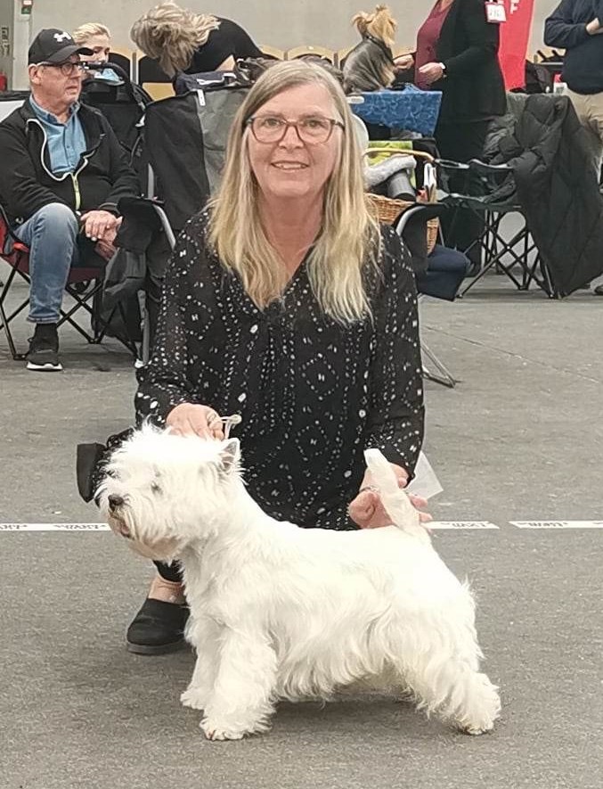 Utställning 23vrås