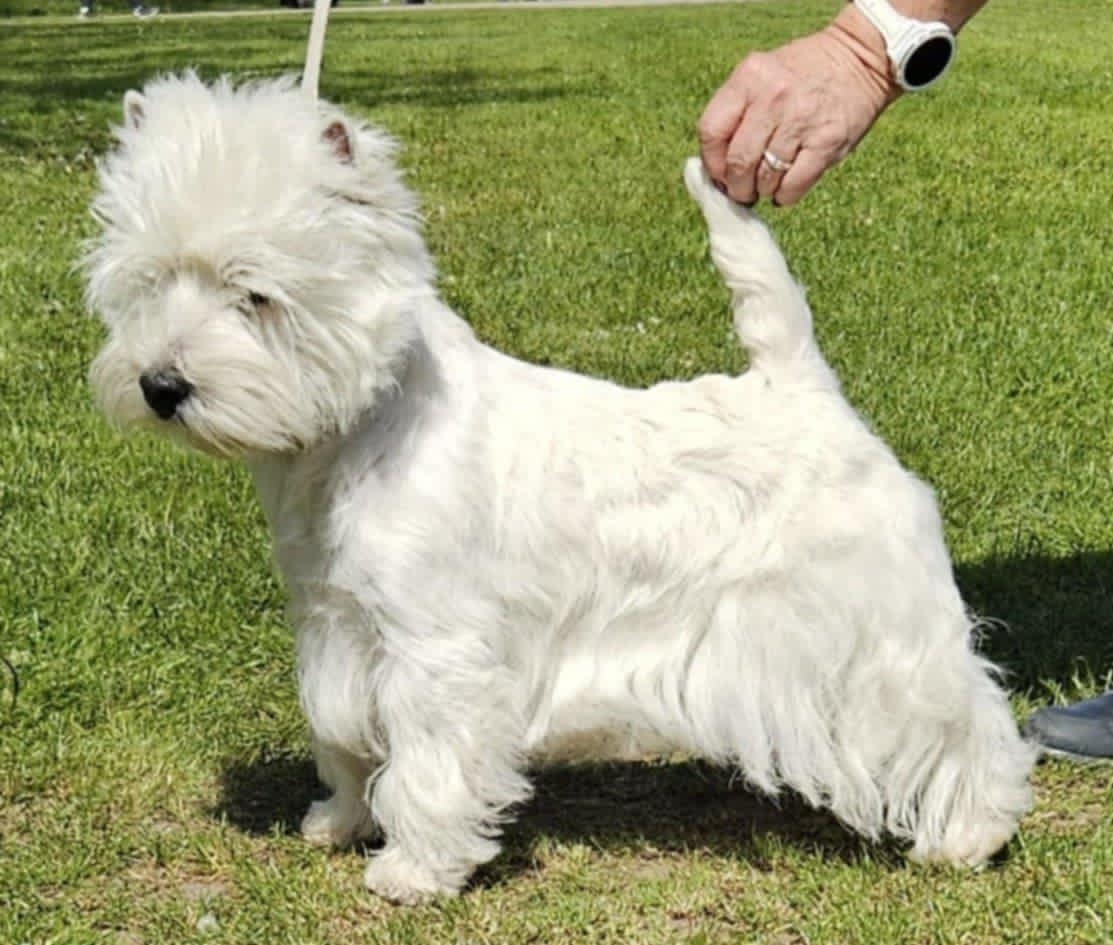 cf 684eb9cbbeef5 ladda ned