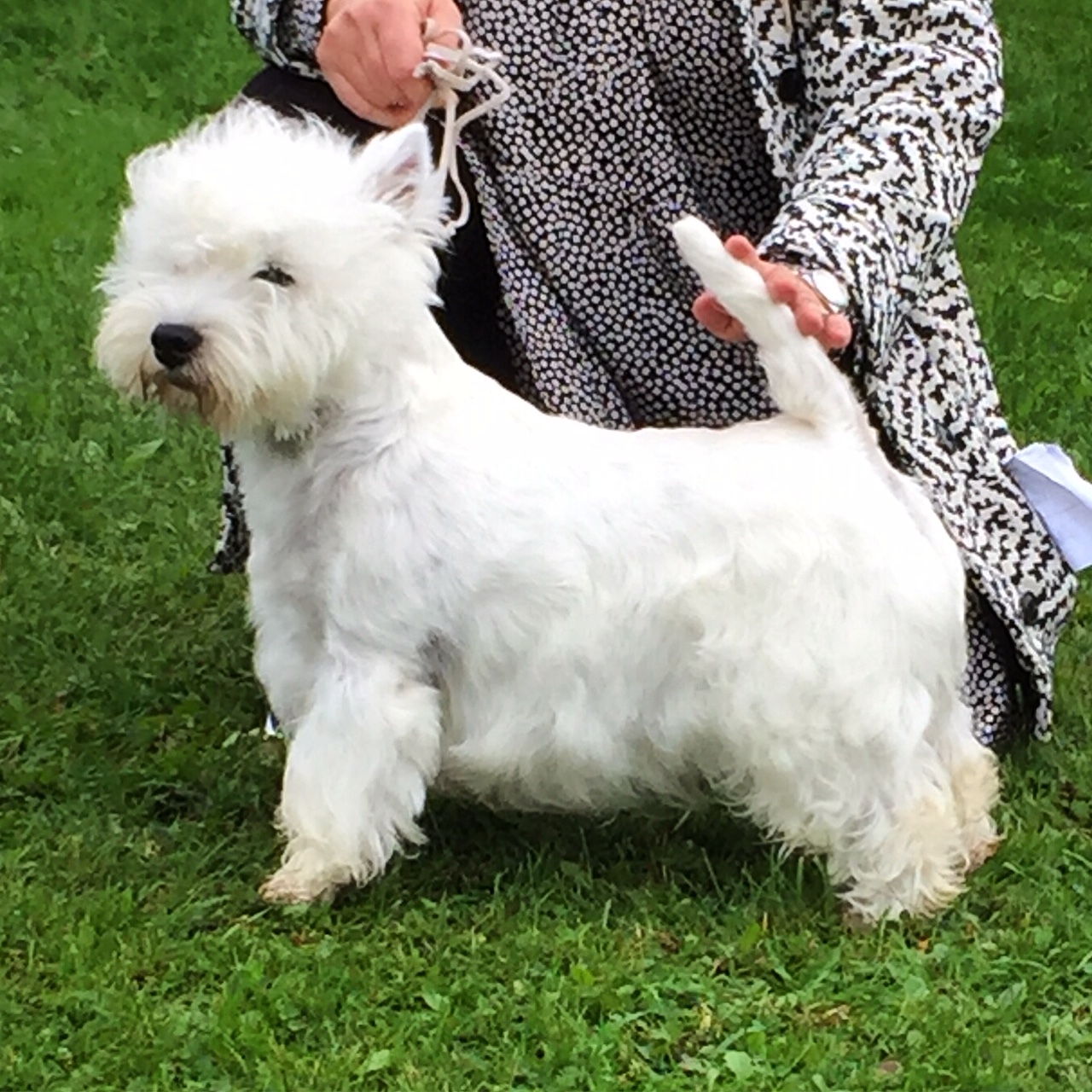 745E366A C990 4F35 9A00 E3D7C04CE38D