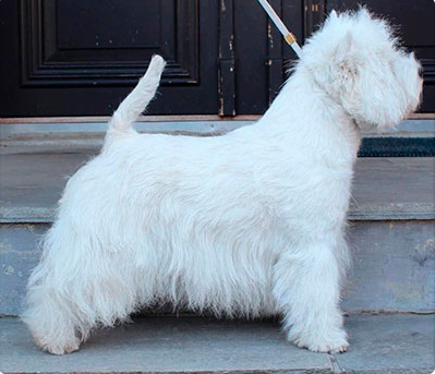 Skrmavbild 2019 06 24 kl 125829