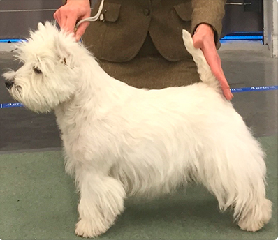 Skrmavbild 2019 06 24 kl 125838