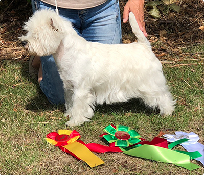 Skrmavbild 2019 06 24 kl 125916