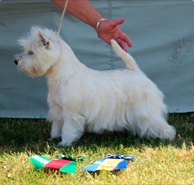 Skrmavbild 2019 06 24 kl 125926