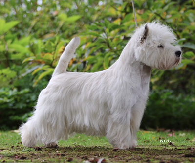 Skrmavbild 2019 06 24 kl 130005