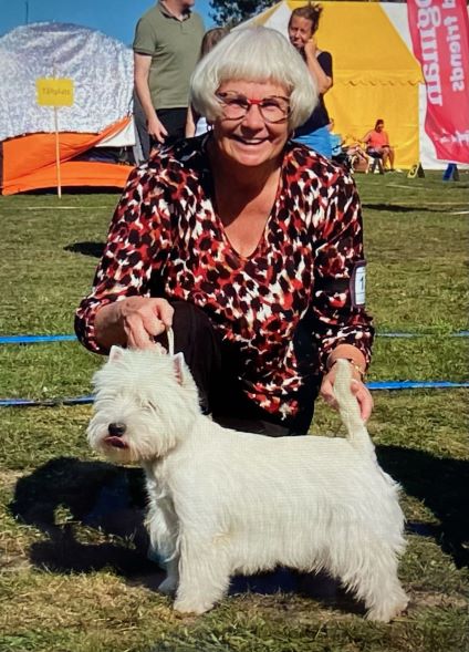 U Raise Me Up Sunshine Celebration