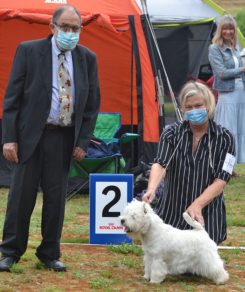 Bsta hane 2 Kenzington Style