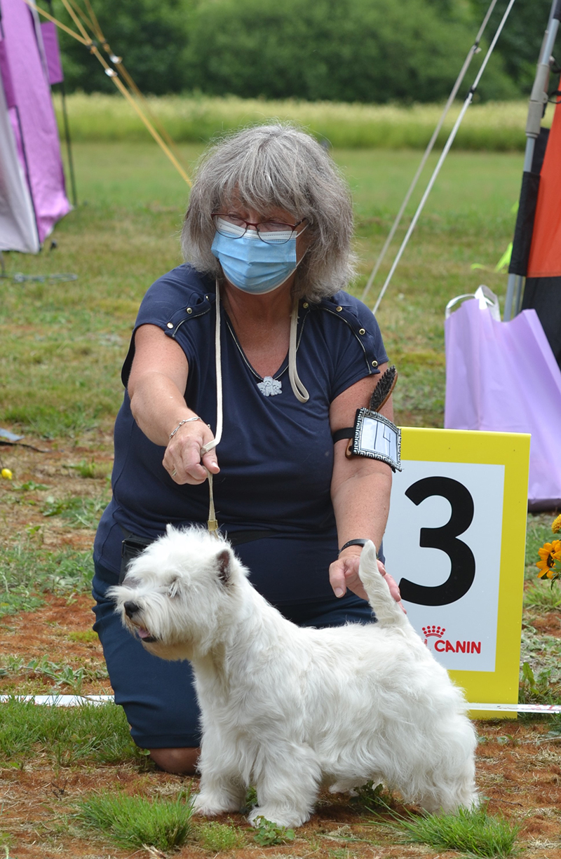 Bsta hane 3 Across Victory