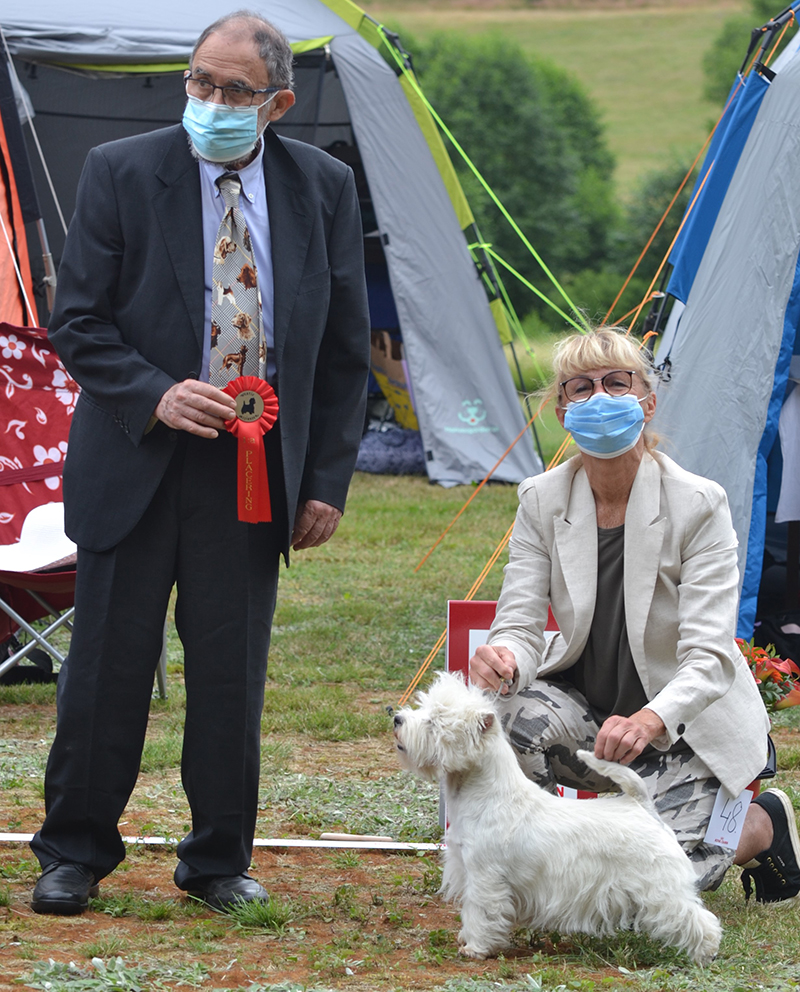 Bsta tik 1 Divine And Smash Devil In Disguise