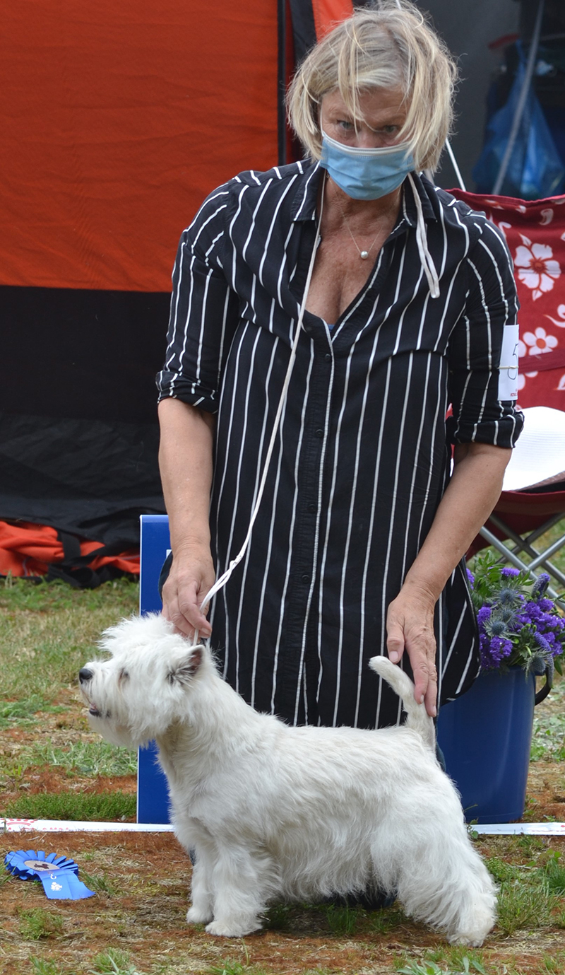 Bsta tik 2 Werweises First Lady