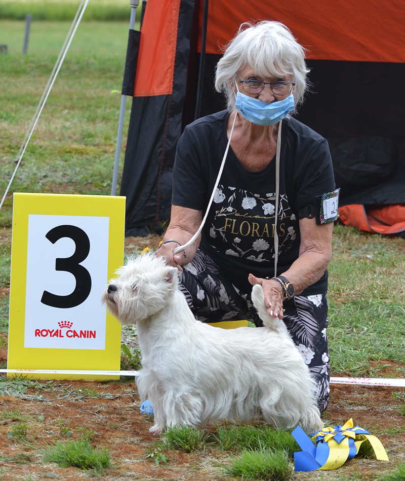 Bsta tik 3 Highland Crest Bring It On