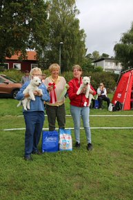 bis valp 4 6 man 7 bim valp 8