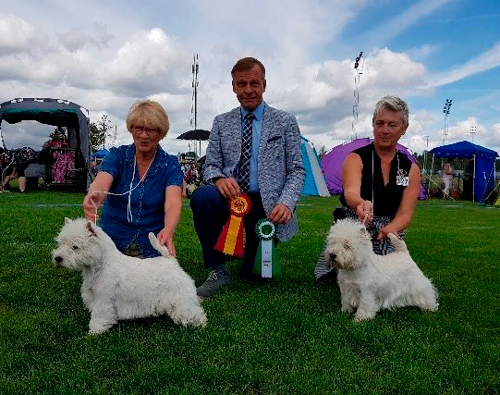 BIR BIM Eskilstuna aug