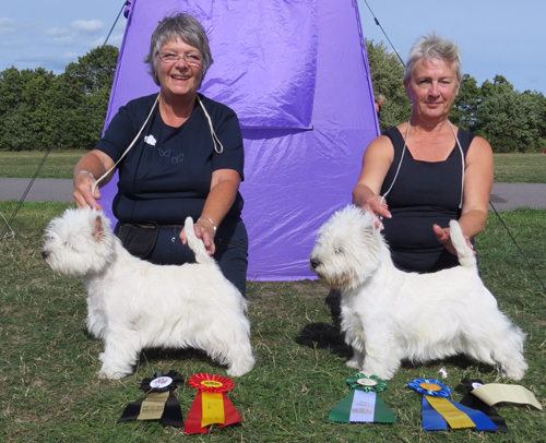 BIR BIM Norrkopingaug 