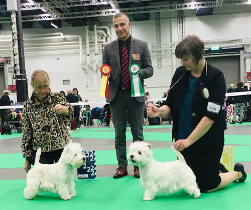 BIR BIM Stockholm dec