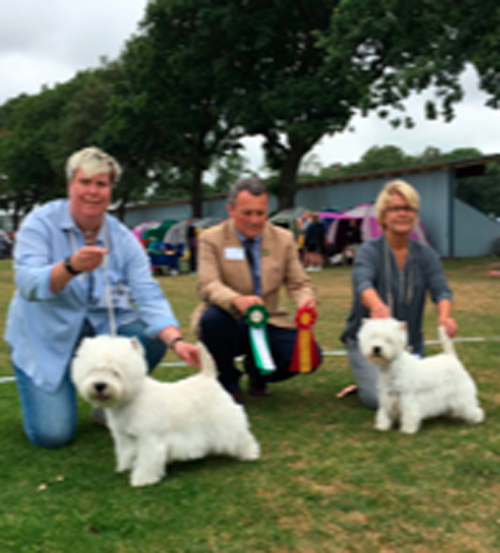 BIR BIM Tvker SKK Nordic