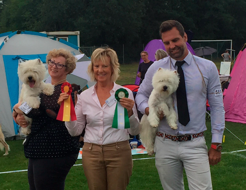 BIR BIM Vasteras juli