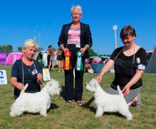 BIR och BIM Norrkoping