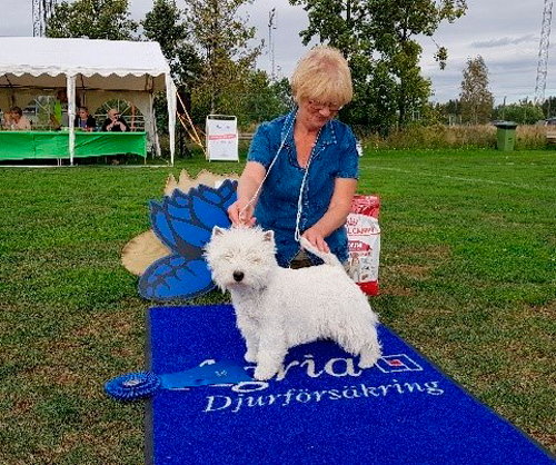 Eskilstuna Jazzing Marimba