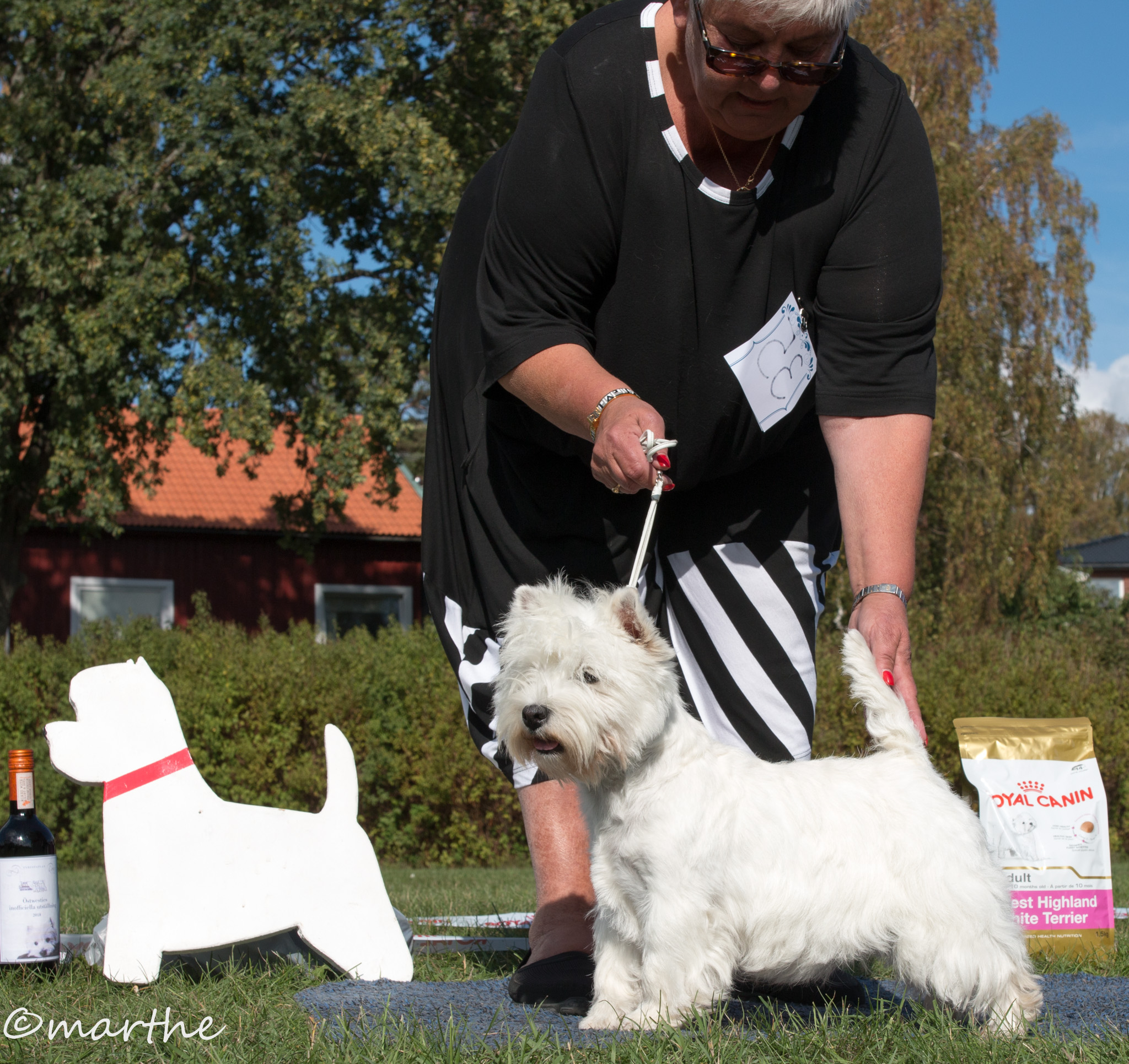 stWestie 2018 09 09 1Chkl BT4 Match Maid Marion 6005