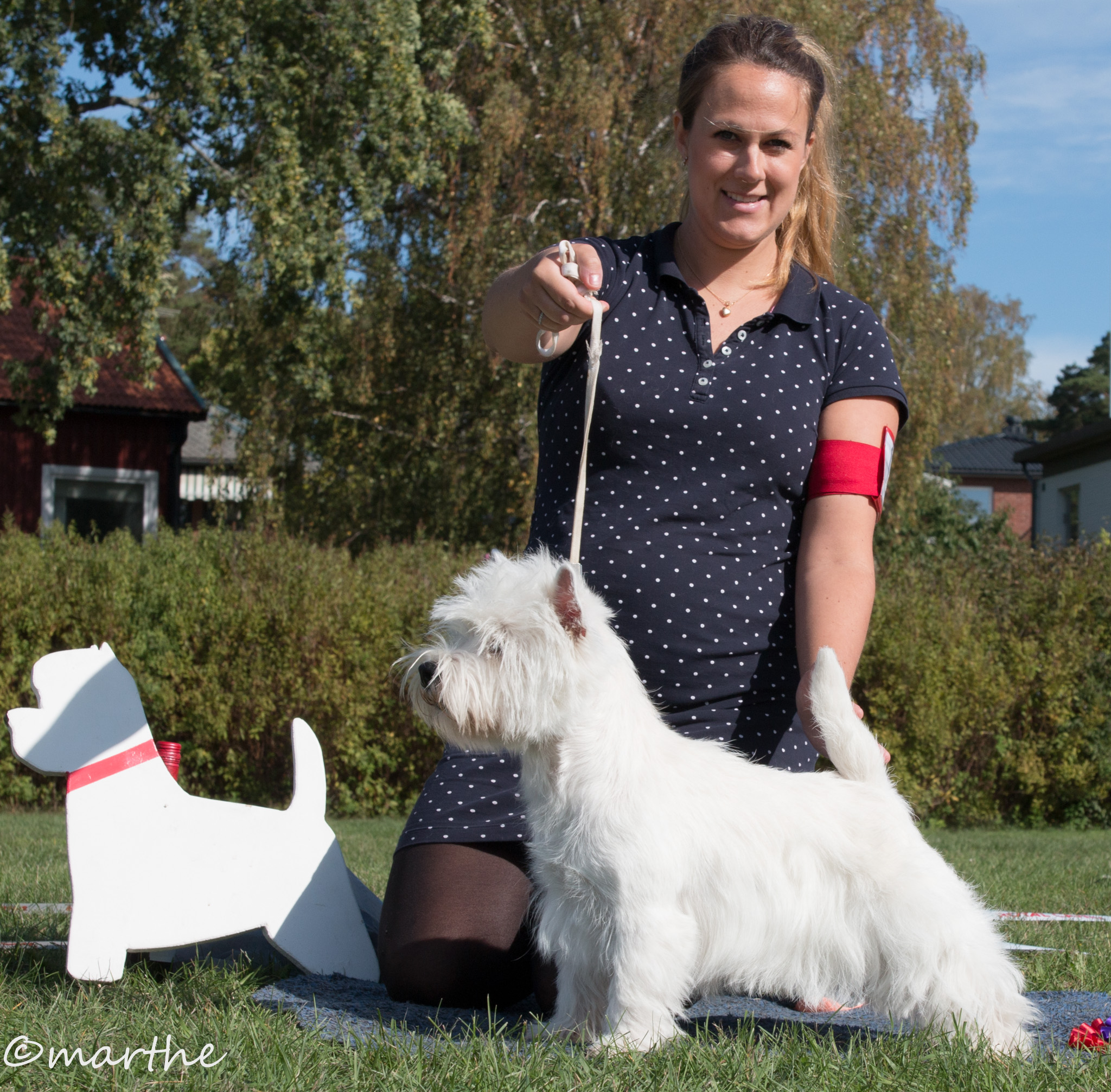 stWestie 2018 09 09 1kl BH4 Across Ragazzo Spiritoso 5752