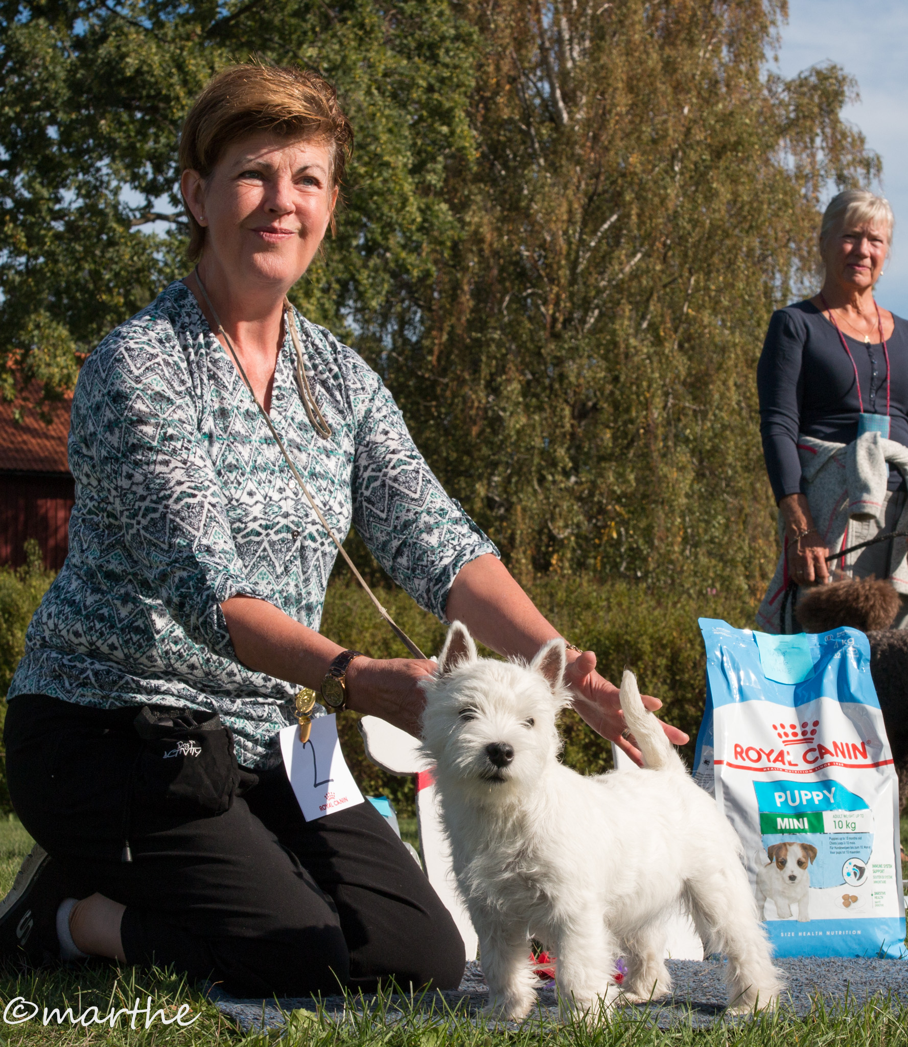 stWestie 2018 09 09 BIM Valp 4 6 mn Superior White Lipton 