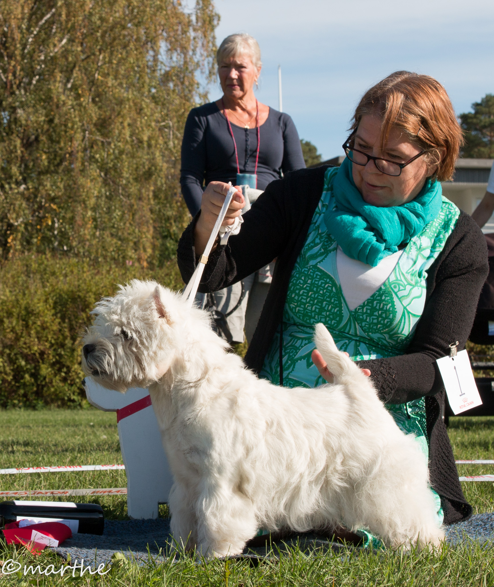 stWestie 2018 09 09 BIS Nybrjare Jazzing Crash Boom Bang 9 sept2018 5573