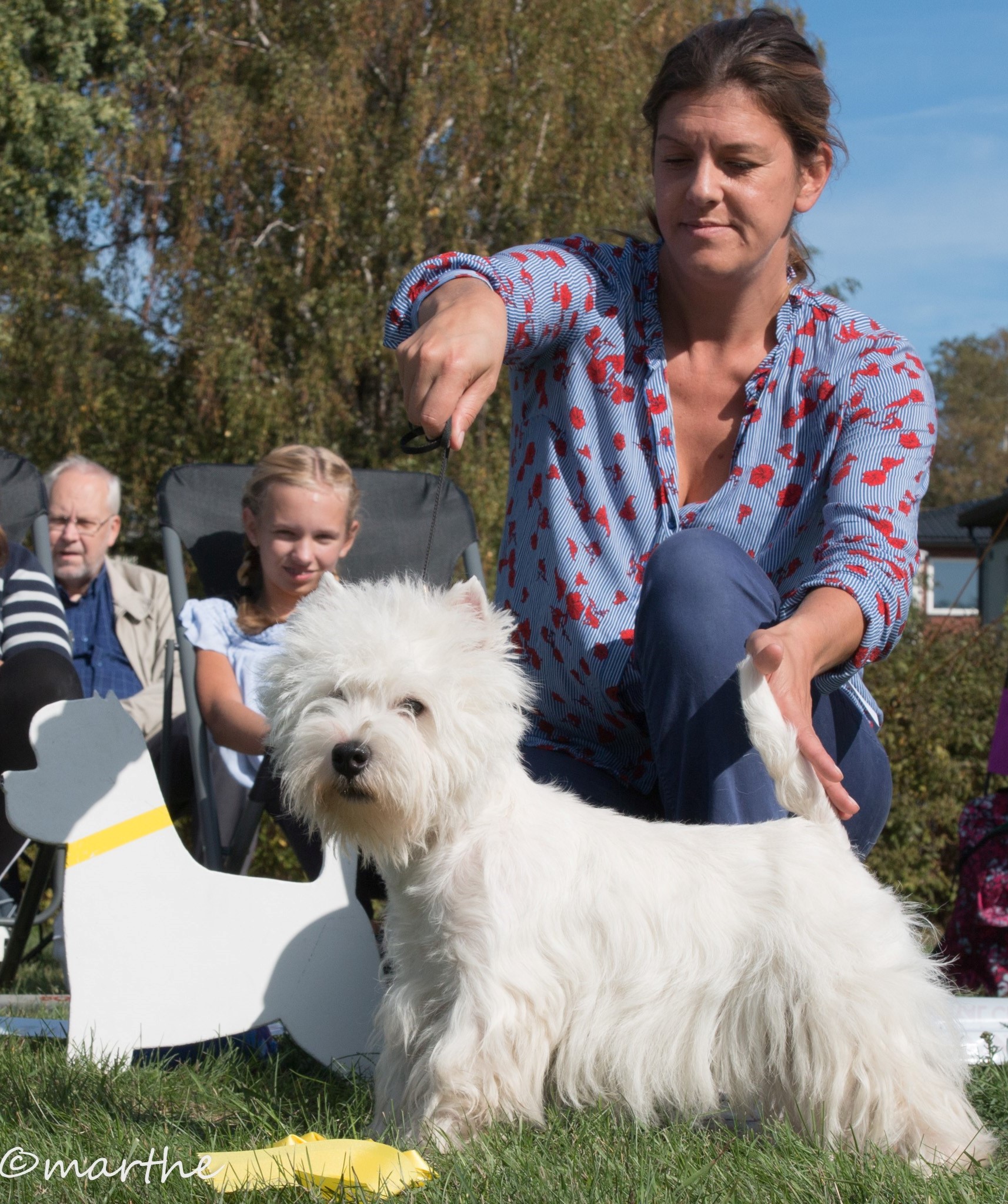 stWestie BIS Junior BH3 Riwals Skypilot 5814 copy