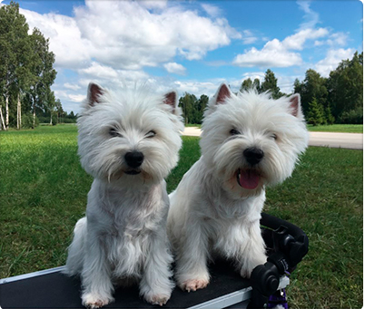 Skrmavbild 2019 06 24 kl 132038