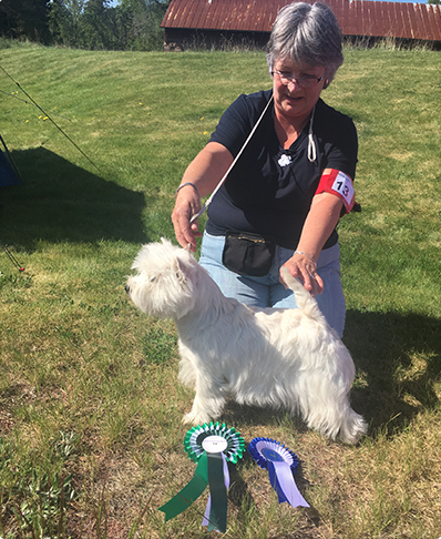 Skrmavbild 2019 06 24 kl 132049