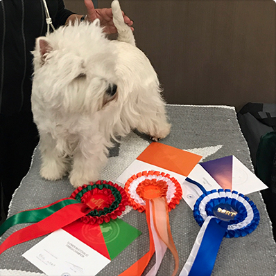 Skrmavbild 2019 06 24 kl 132057