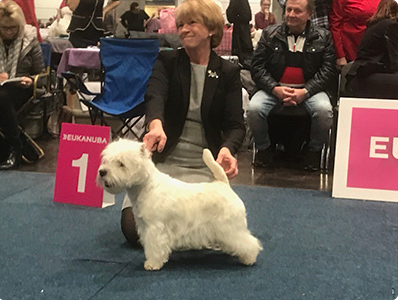 Skrmavbild 2019 06 24 kl 132104