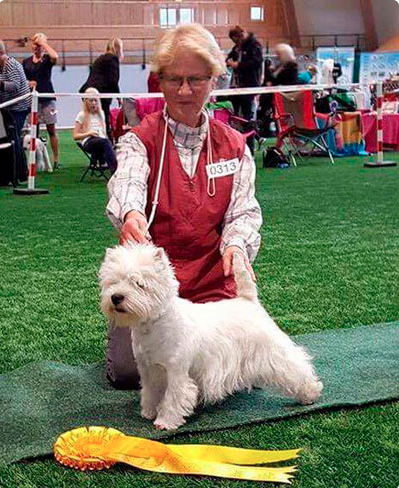 Skrmavbild 2019 06 24 kl 132113