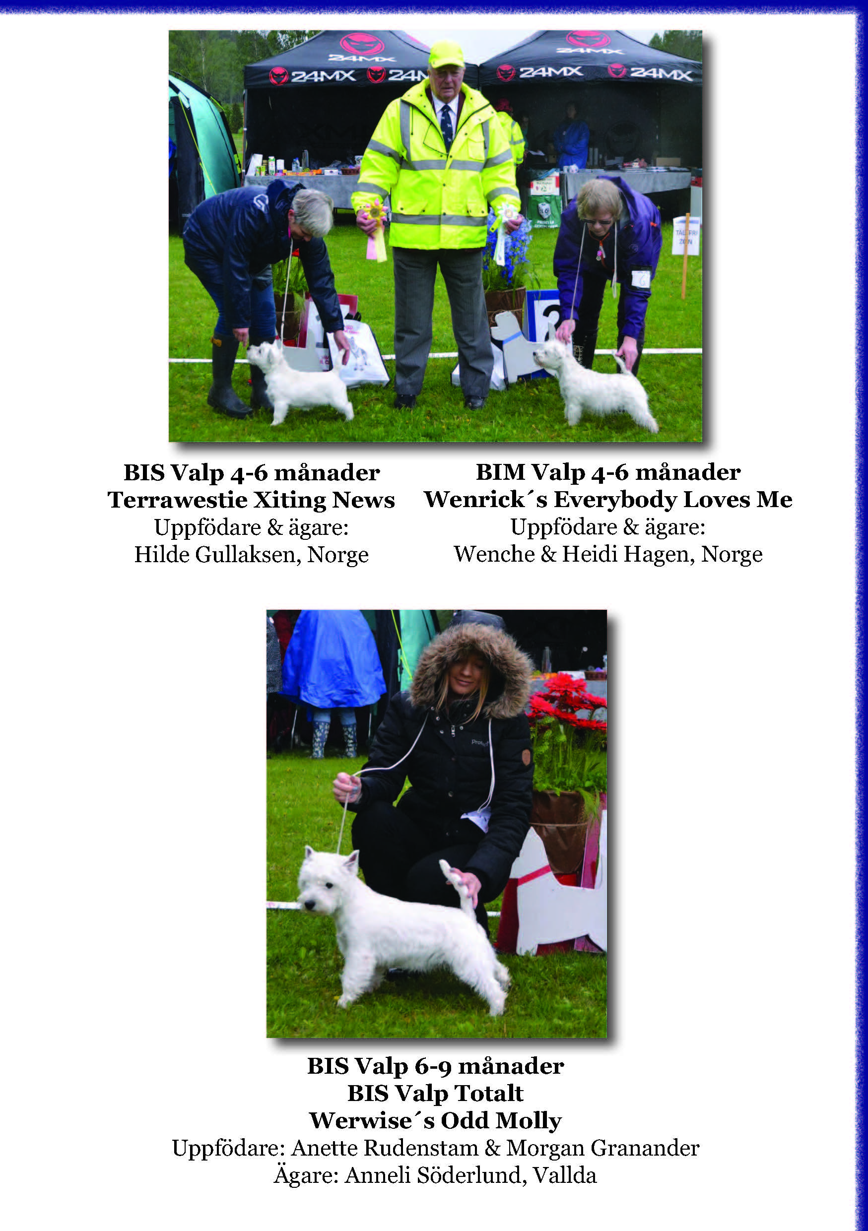 Utstllning 2019som bild Sida 2