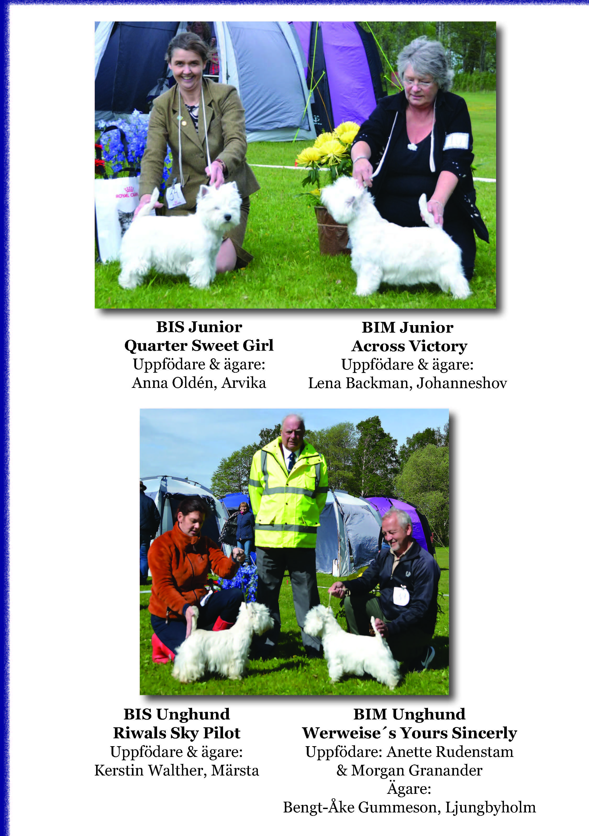 Utstllning 2019som bild Sida 3