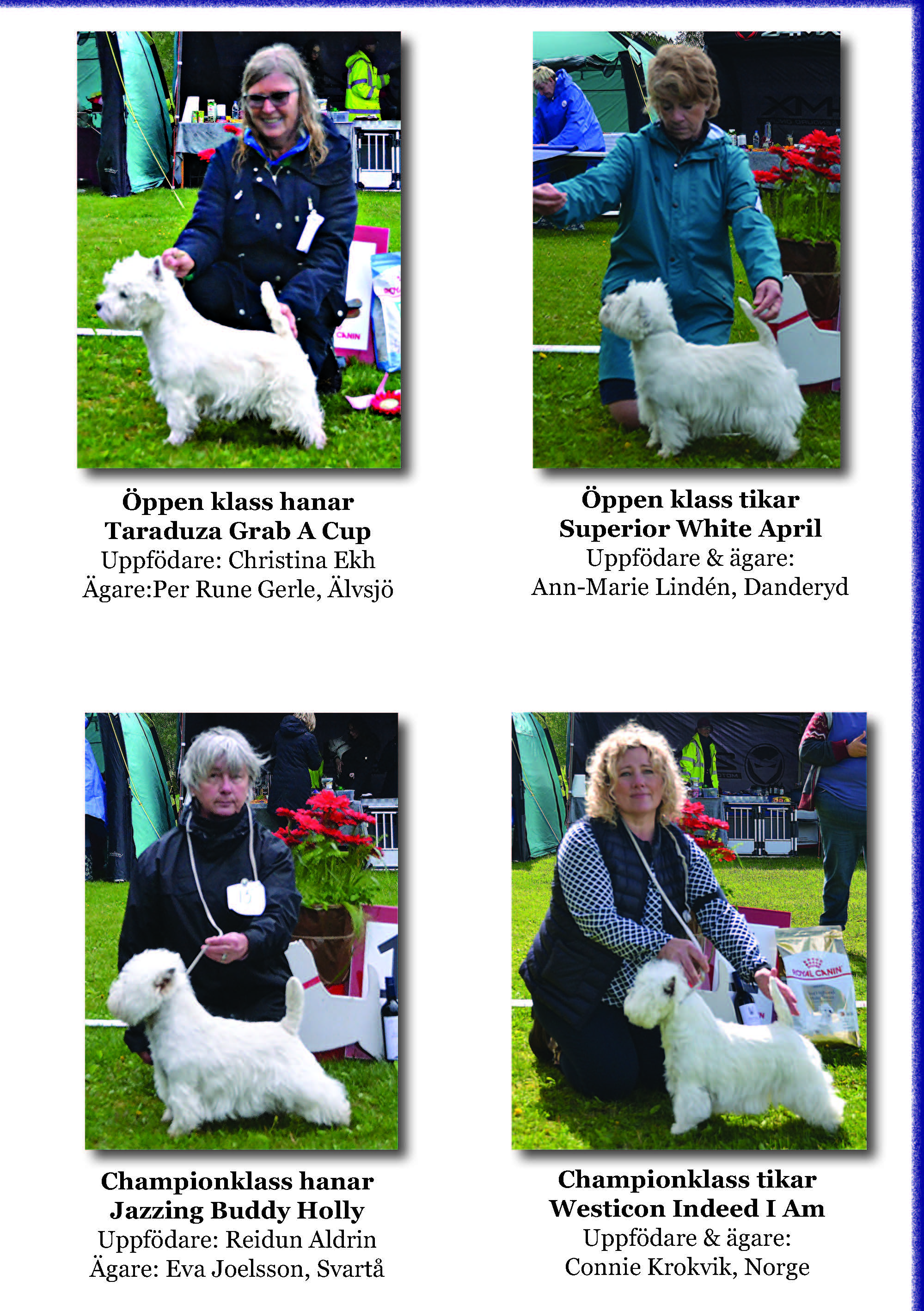 Utstllning 2019som bild Sida 4