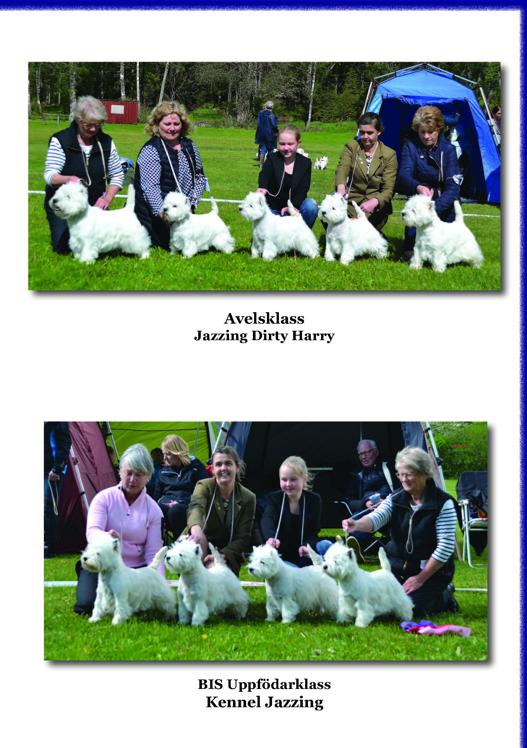 Utstllning 2019som bild Sida 6