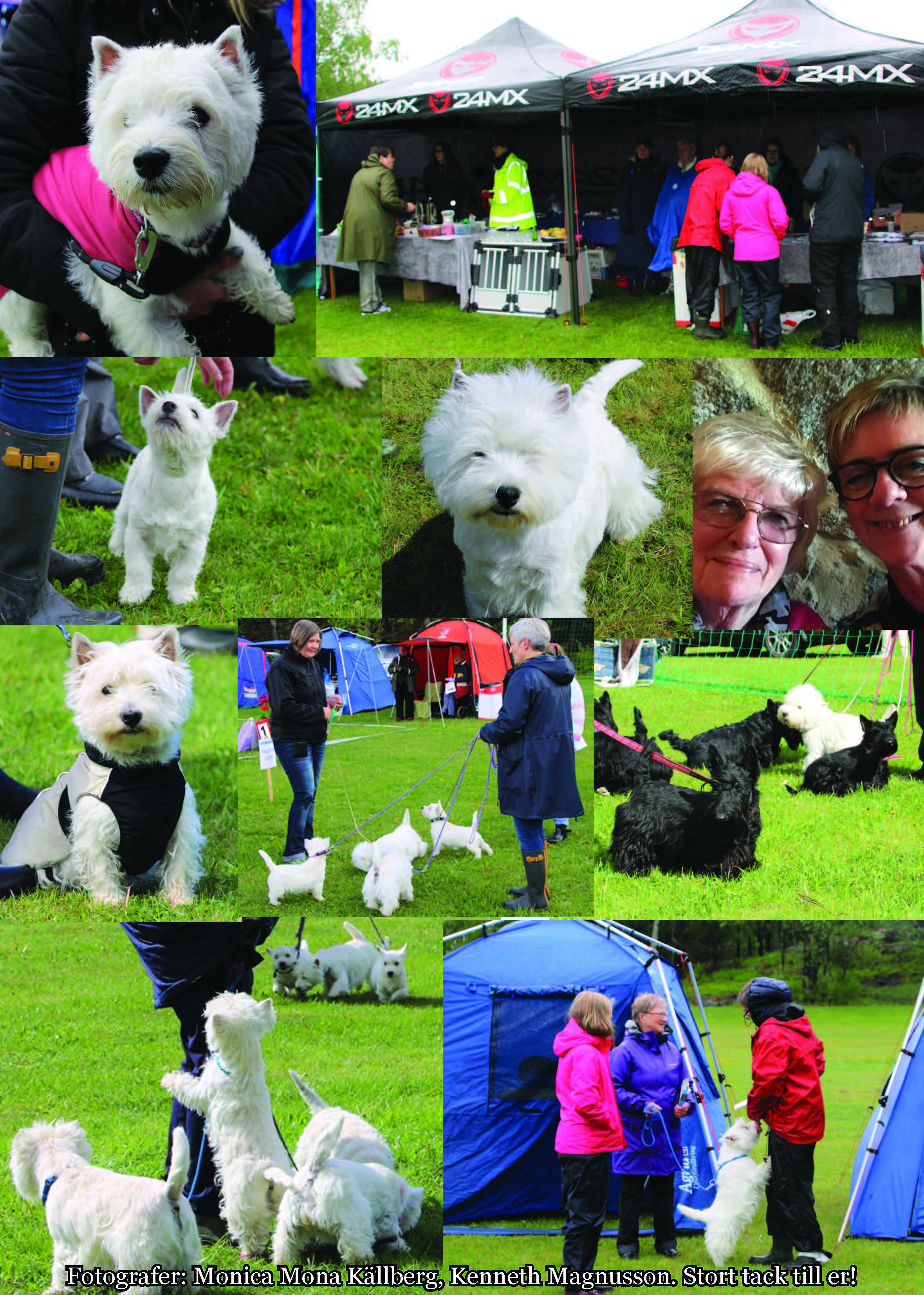 Utstllning 2019som bild Sida 9