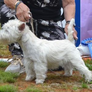 03. Valpklass 6 man tikar. Plac.2 124