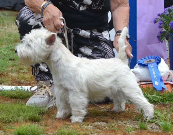 03. Valpklass 6 man tikar. Plac.2 124