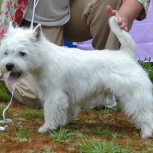 05. Valpklass tikar 9 man. Plac.2 111