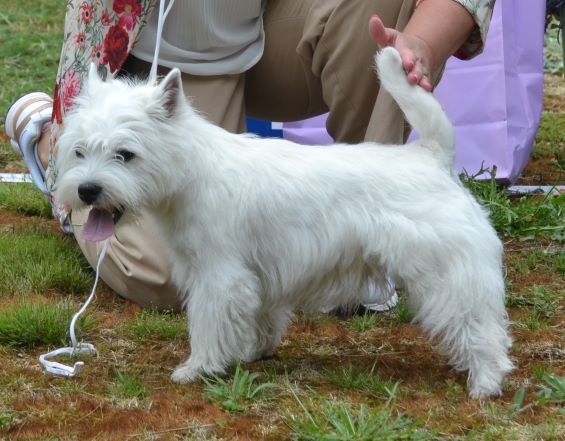 05. Valpklass tikar 9 man. Plac.2 111