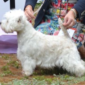 22. Oppenklass tikar. Plac.1