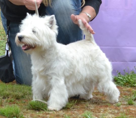 23. Oppenklass tikar. Plac.2