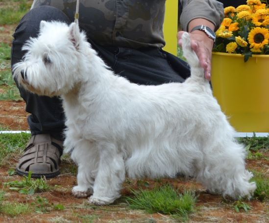 24. Oppenklass tikar. Plac.3